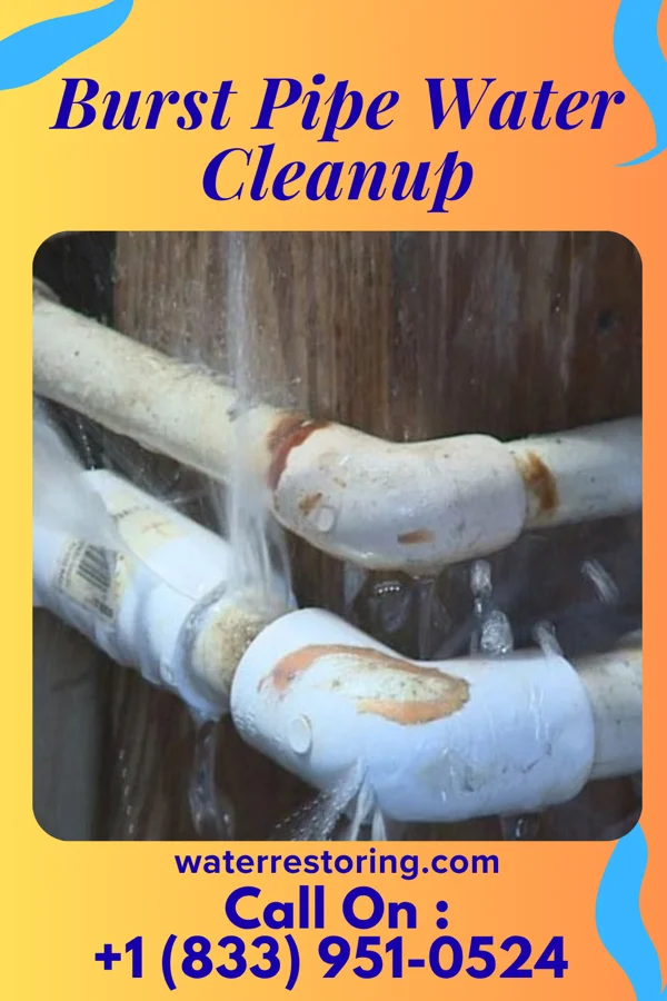 Burst Pipe Water Cleanup in Newcastle, NE