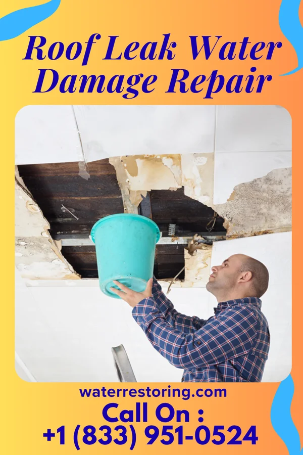 Roof Leak Water Damage Repair in Newcastle, NE